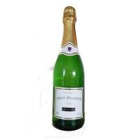 Espumante Mon Plaisir Meio Seco 75 Cl