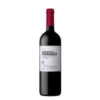 Red Wine Convento Paraiso Cabernet Sauvignon 2016 75 Cl