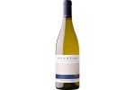 White Wine  Vicentino Reserva 2019 75 Cl