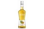Liquor Monin Apricot 70 Cl