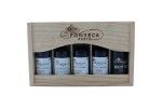 Pack 5X Porto Fonseca 5 Cl