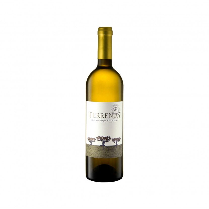 Vinho Branco Terrenus 75 Cl