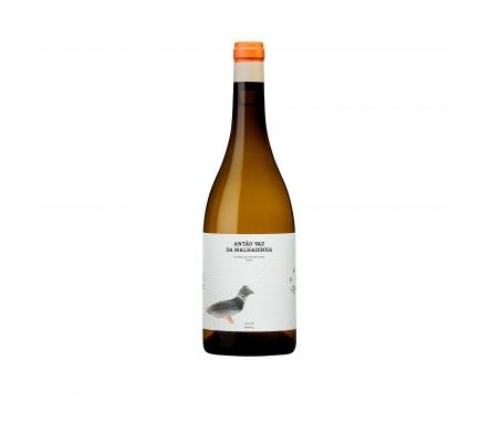 Vinho Branco Antao Vaz Da Malhadinha "Vinha Da Peceguina" 2024 Biologico 75 Cl