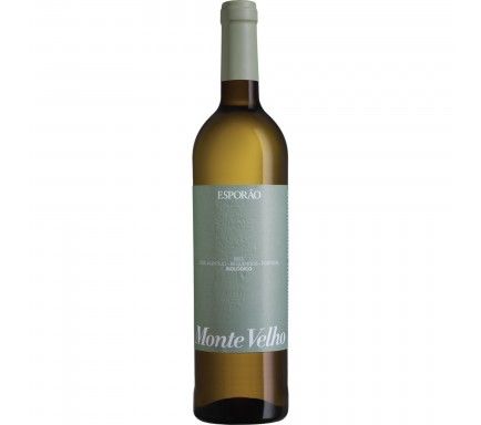 White Wine Monte Velho Biologico 75 Cl
