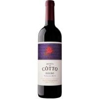 Vinho Tinto Douro Qta. Cotto Vinha Do Dote 2018 75 Cl
