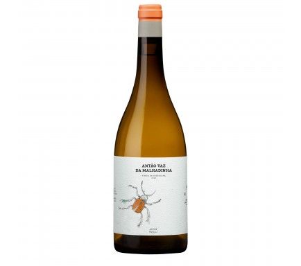 Vinho Branco Antao Vaz Da Malhadinha "Vinha Da Peceguina" 2022 Biologico 75 Cl