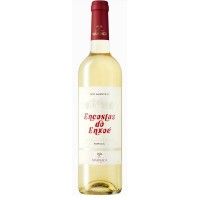 Vinho Branco Encostas Enxoe 75 Cl