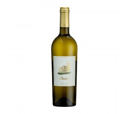 Vinho Branco Bairrada Bucaco 2021 75 Cl
