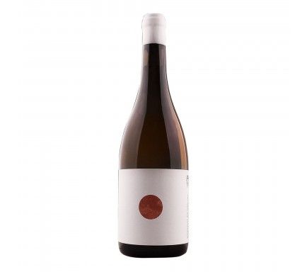 White Wine Algarve Morgado Quintao Anfora 75 Cl