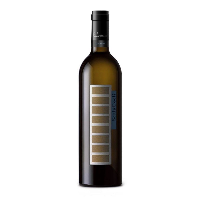 Vinho Branco Scala Coeli 2023 Encruzado 75 Cl