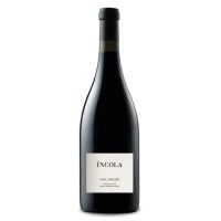 Vinho Tinto Rcv Incola 2020 75 Cl