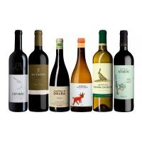 Pack Biologico I