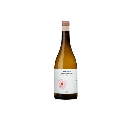 Vinho Branco Antao Vaz Da Malhadinha "Vinha Da Peceguina" 2024 Biologico 75 Cl