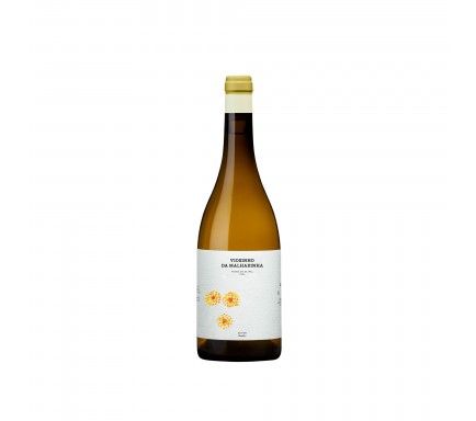 Vinho Branco Viosinho Da Malhadinha "Vinha Do Olival" 2024 Biologico 75 Cl