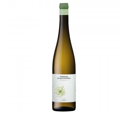 Vinho Branco Verdelho Da Malhadinha "Vinha Peceguina" 2024 Biologico 75 Cl