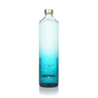 Gin Cap 70 Cl