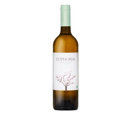 Vinho Branco Euphoria 2024 75 Cl
