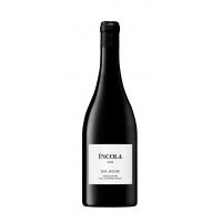 Vinho Tinto Rcv Incola 2020 75 Cl