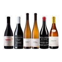 Pack Antonio Ma�anita II