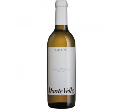 Vinho Branco Monte Velho 37 Cl