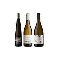 Pack Alvarinho Premium (Minho)