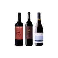 Pack Syrah (Alentejo)