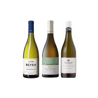 Pack Sauvignon Blanc Mundo & Portugal