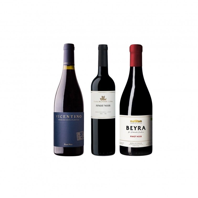 Pack Pinot Noir