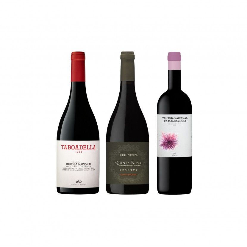 Pack Touriga Nacional Premium