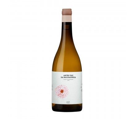 White Wine Antao Vaz Da Malhadinha "Vinha Da Peceguina" 2024 Biologico 75 Cl