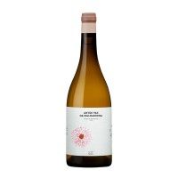 Vinho Branco Antao Vaz Da Malhadinha "Vinha Da Peceguina" 2024 Biologico 75 Cl