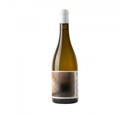 Vinho Branco Morgado Quintao Vinhas Velhas 2023 75 Cl
