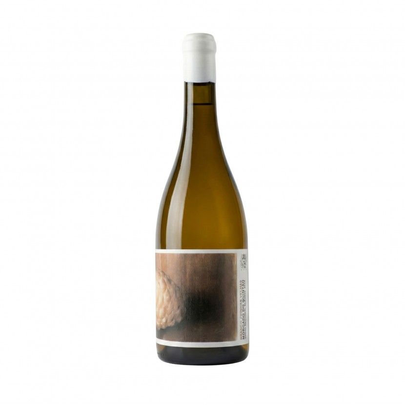 Vinho Branco Morgado Quintao Vinhas Velhas 2023 75 Cl