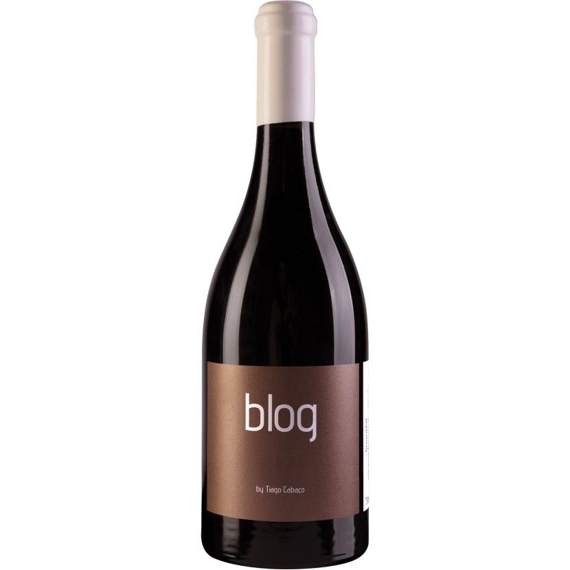 Vinho Tinto Blog Alicante + Syrah 2021 75 Cl